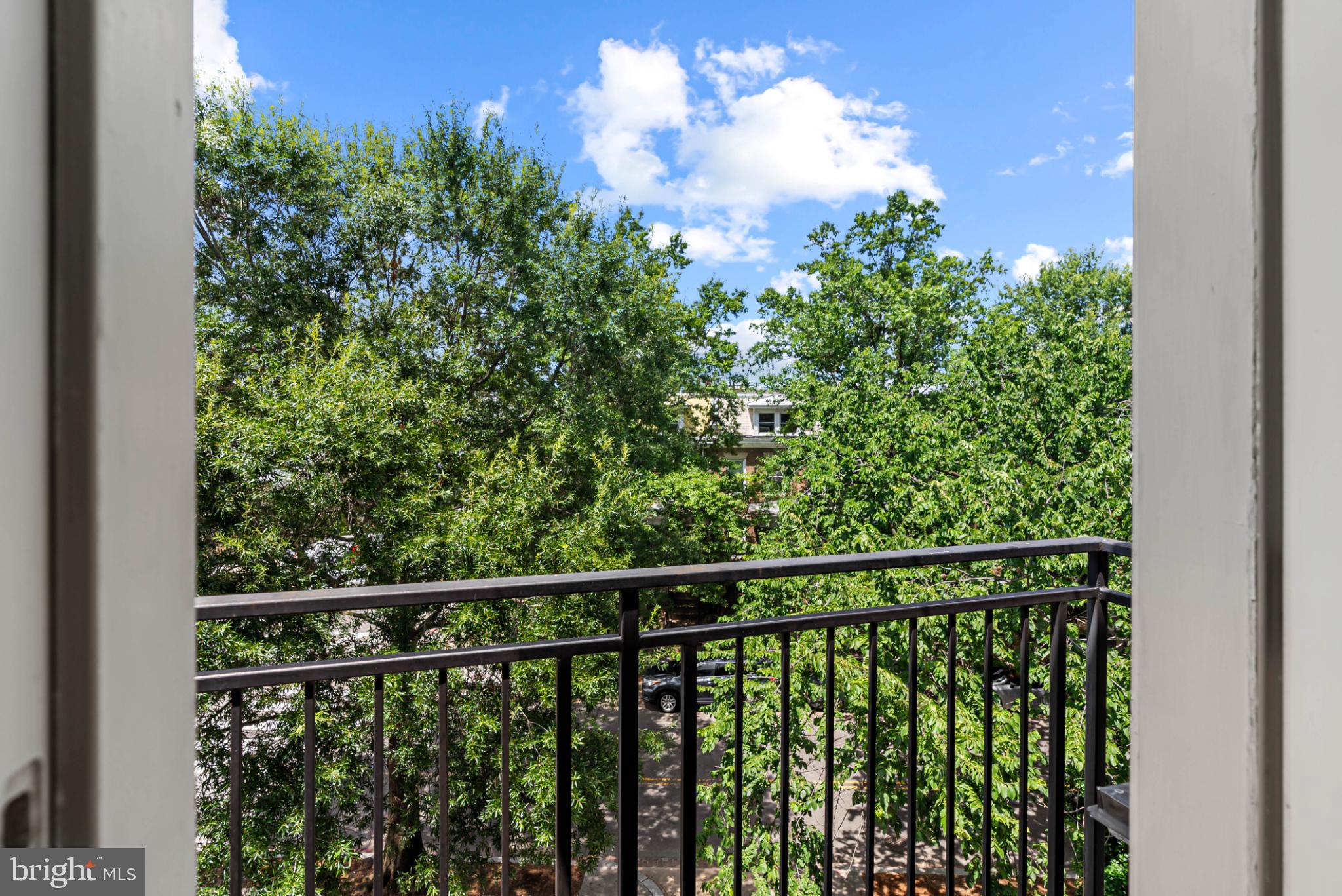 3311 13th Street Northwest, Unit 5 Washington, DC 20010 - Photo 16 of 36 Serene balcony view amidst lush greenery.