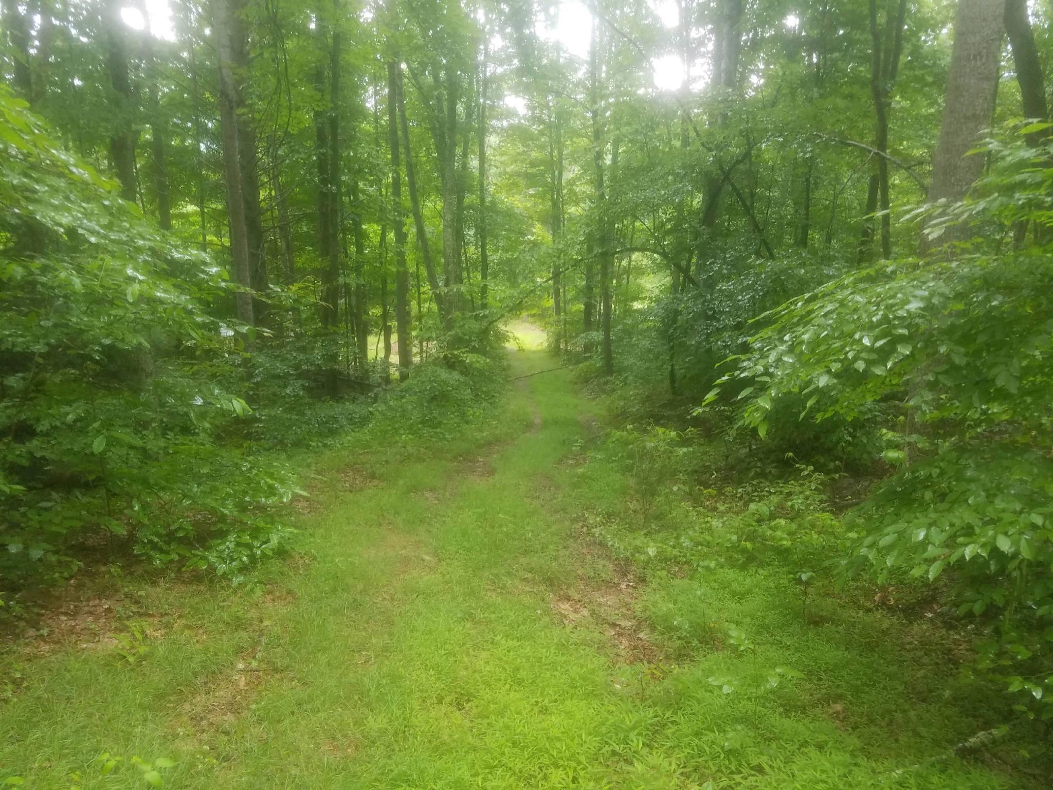62-1 Hoke's Mill Road Ronceverte, WV 24970 - Photo 8 of 18 Gallery Image 8