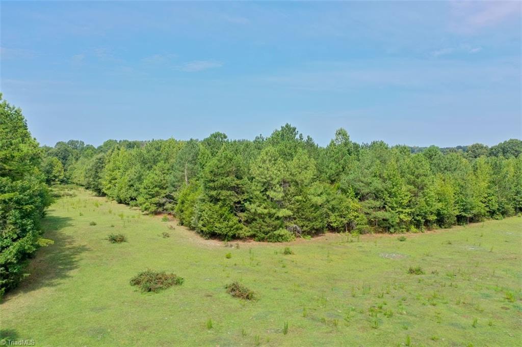 6972 Bowman Dairy Road Liberty, NC 27298 - Photo 8 of 38