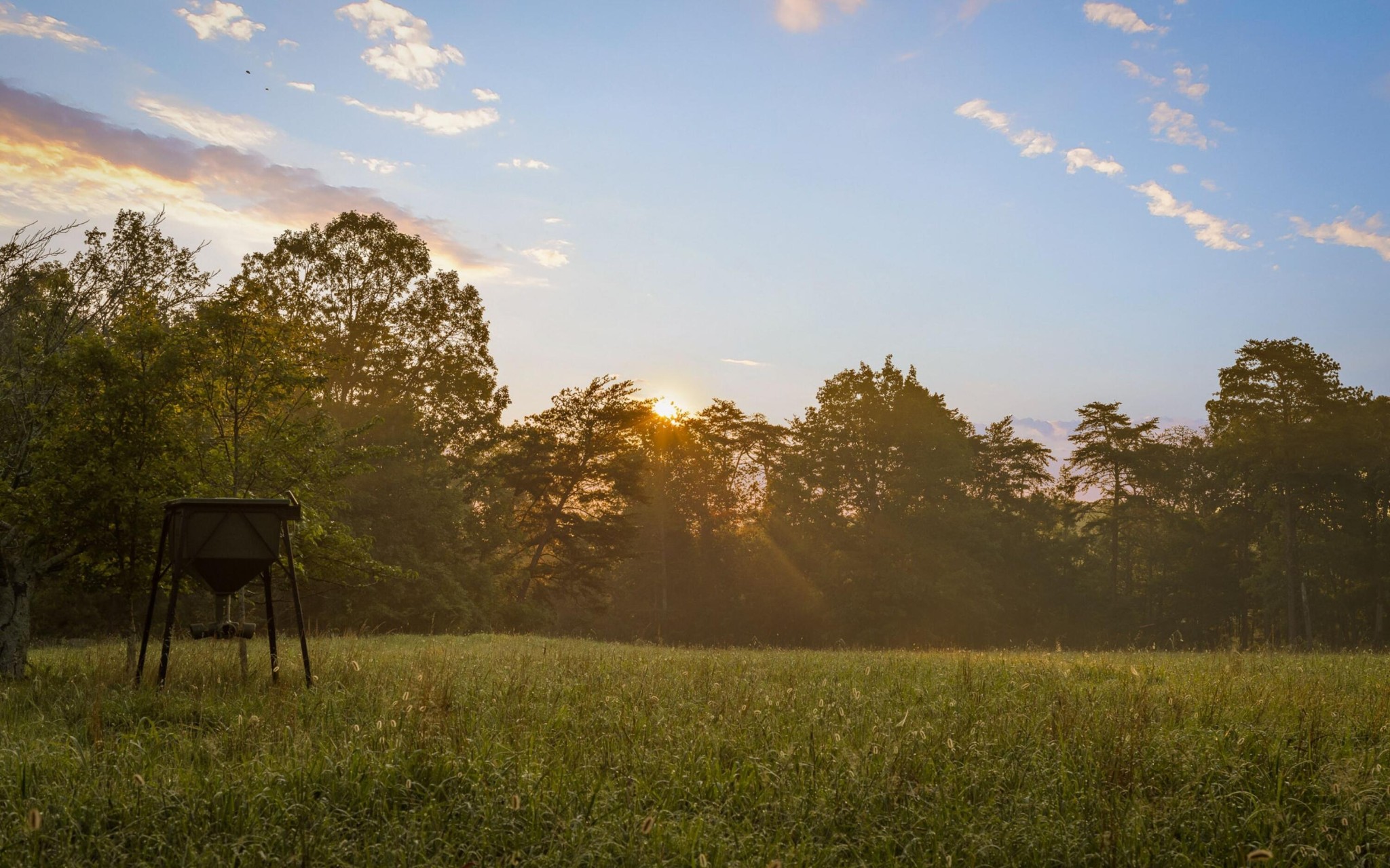 36 Still Hollow Road Menlo, GA 30731 - Photo 51 of 63 a view of an ocean from a yard