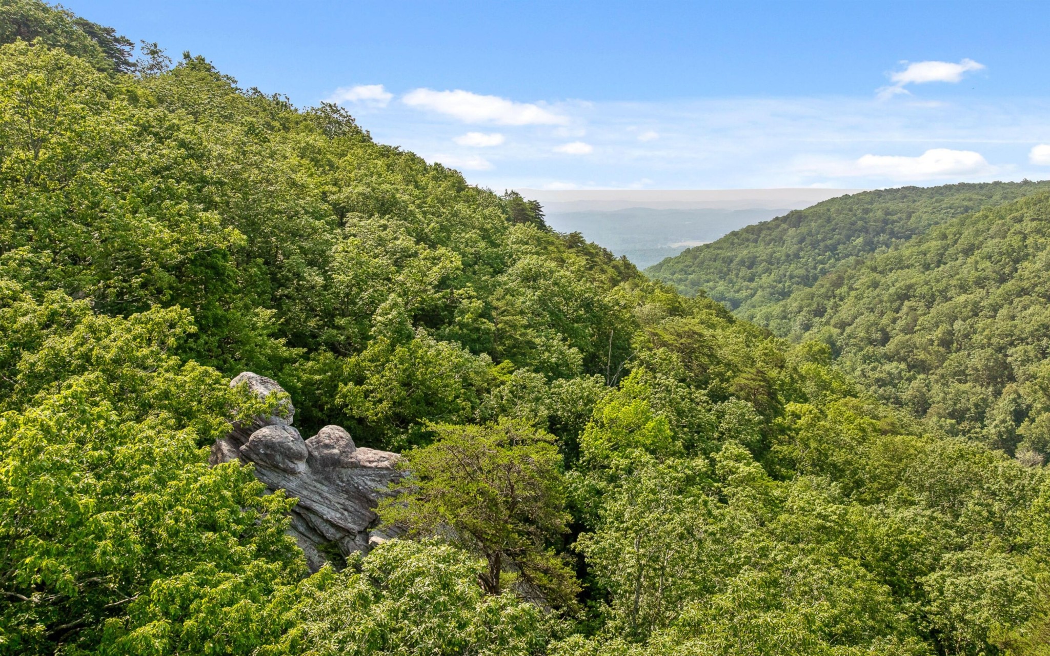 36 Still Hollow Road Menlo, GA 30731 - Photo 58 of 63 a backyard of a house with lots of green space