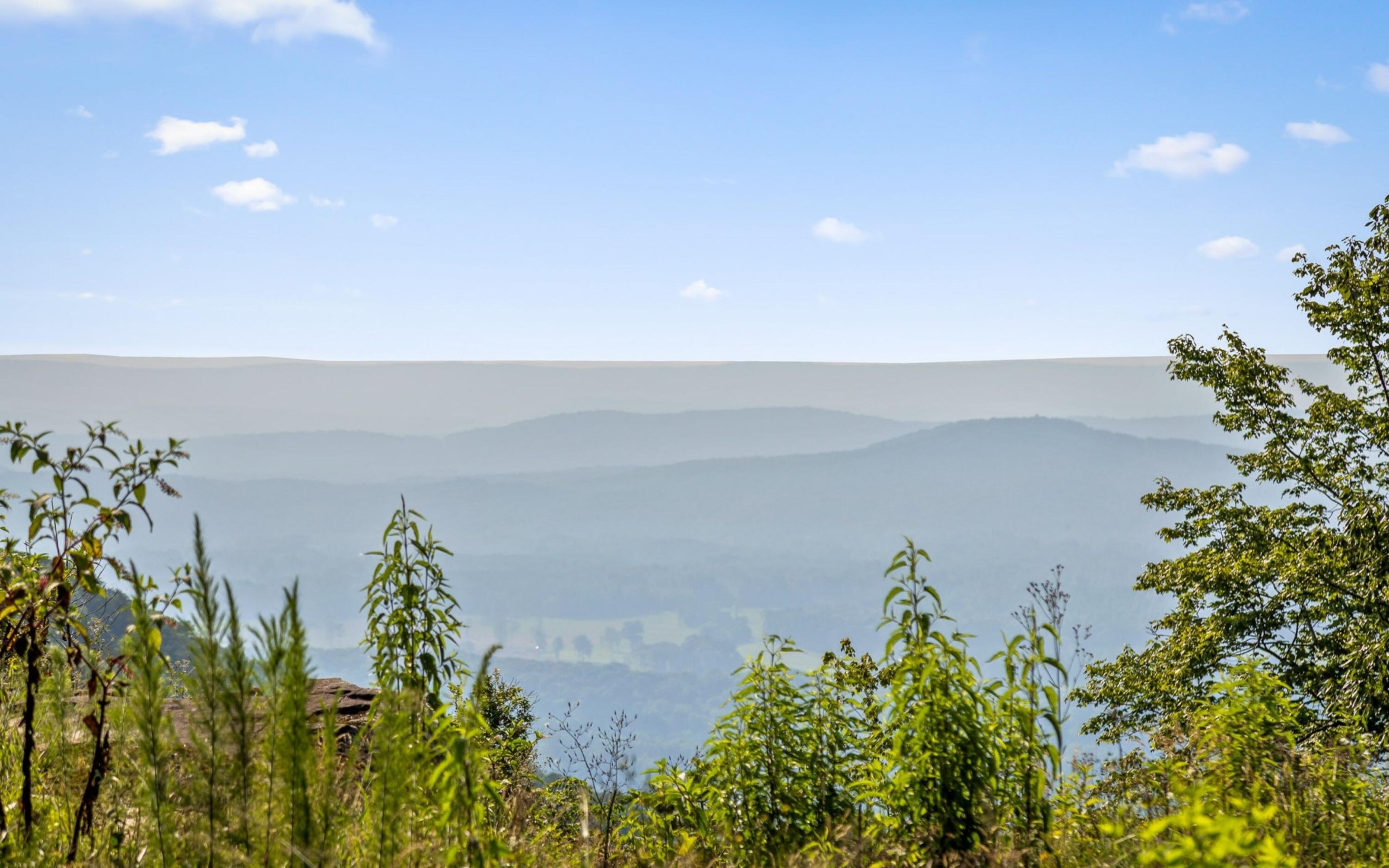 36 Still Hollow Road Menlo, GA 30731 - Photo 59 of 63 a view of a street with a flower plants