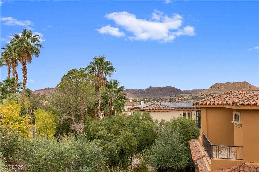 19 Rue Grimaldi Way Henderson, NV 89011 - Photo 72 of 99