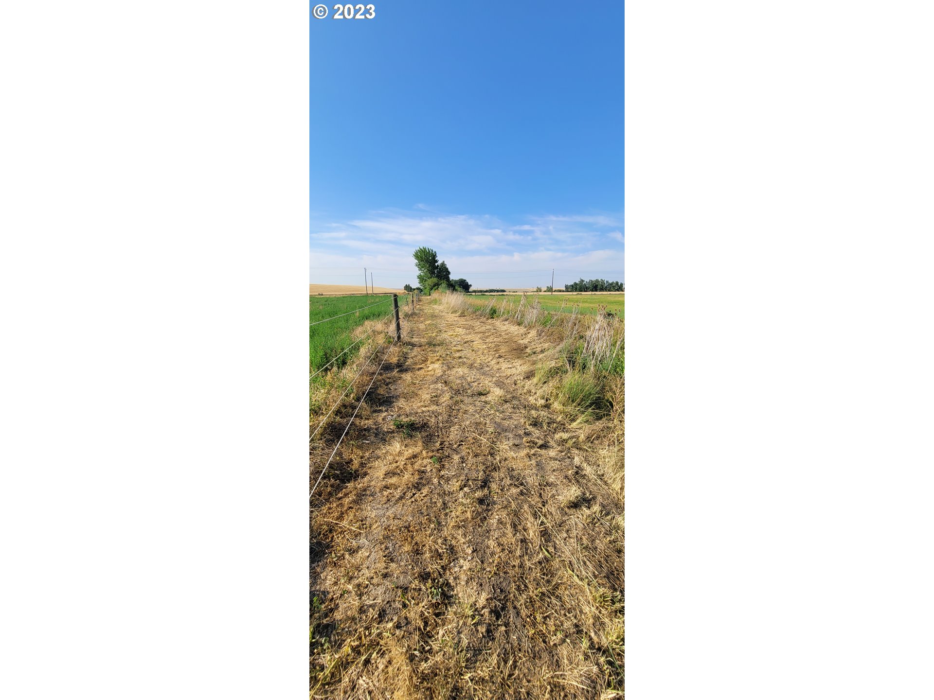 72100 Patawa Road Pendleton, OR 97801 - Photo 32 of 39
