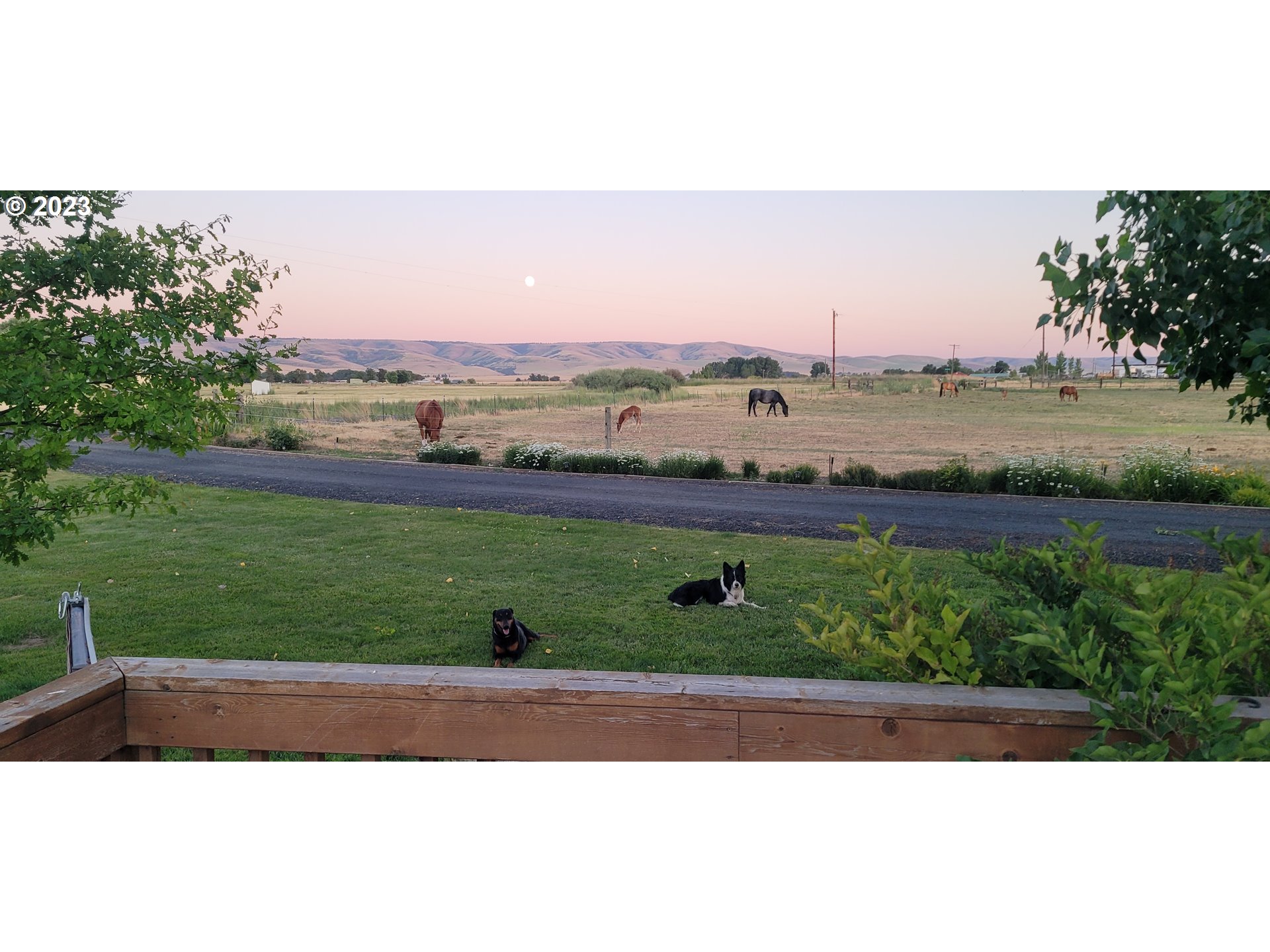 72100 Patawa Road Pendleton, OR 97801 - Photo 37 of 39