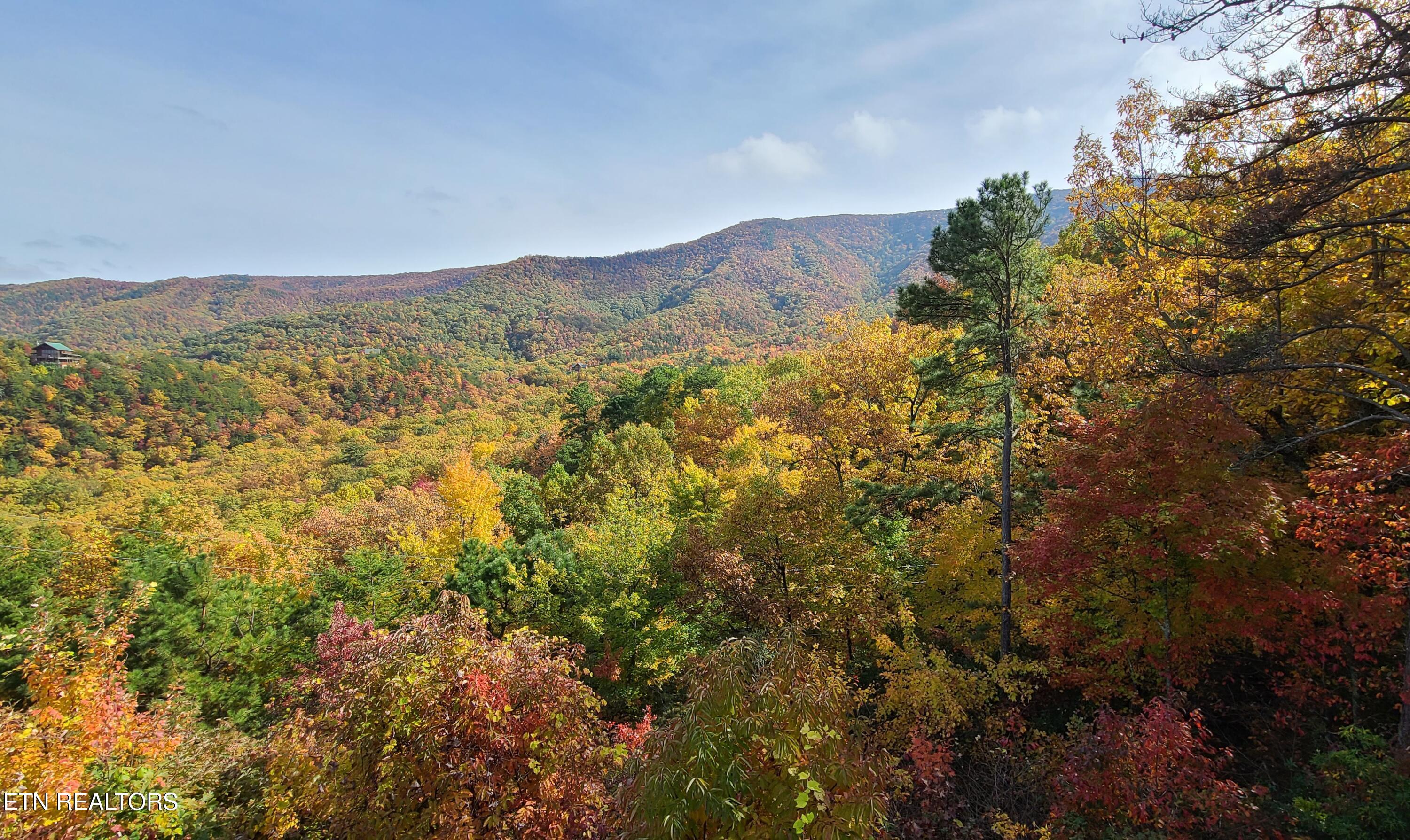 3059 Perry Circle Road Sevierville, TN 37862 - Photo 46 of 56 20211105_140444 (1)