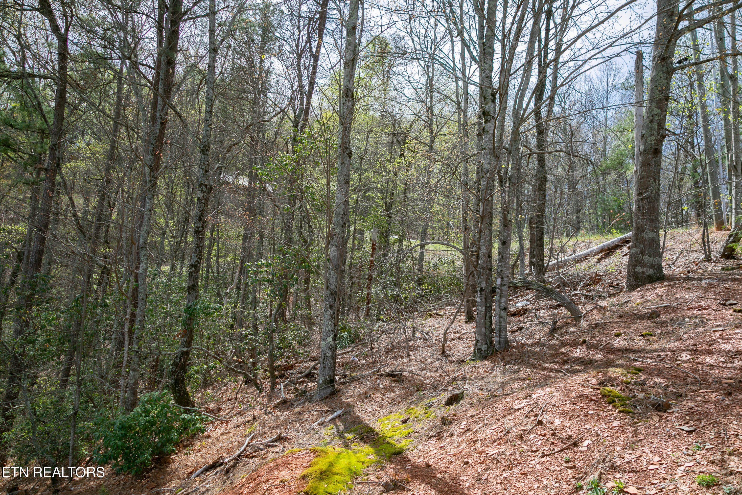 3059 Perry Circle Road Sevierville, TN 37862 - Photo 54 of 56 2B4A8978