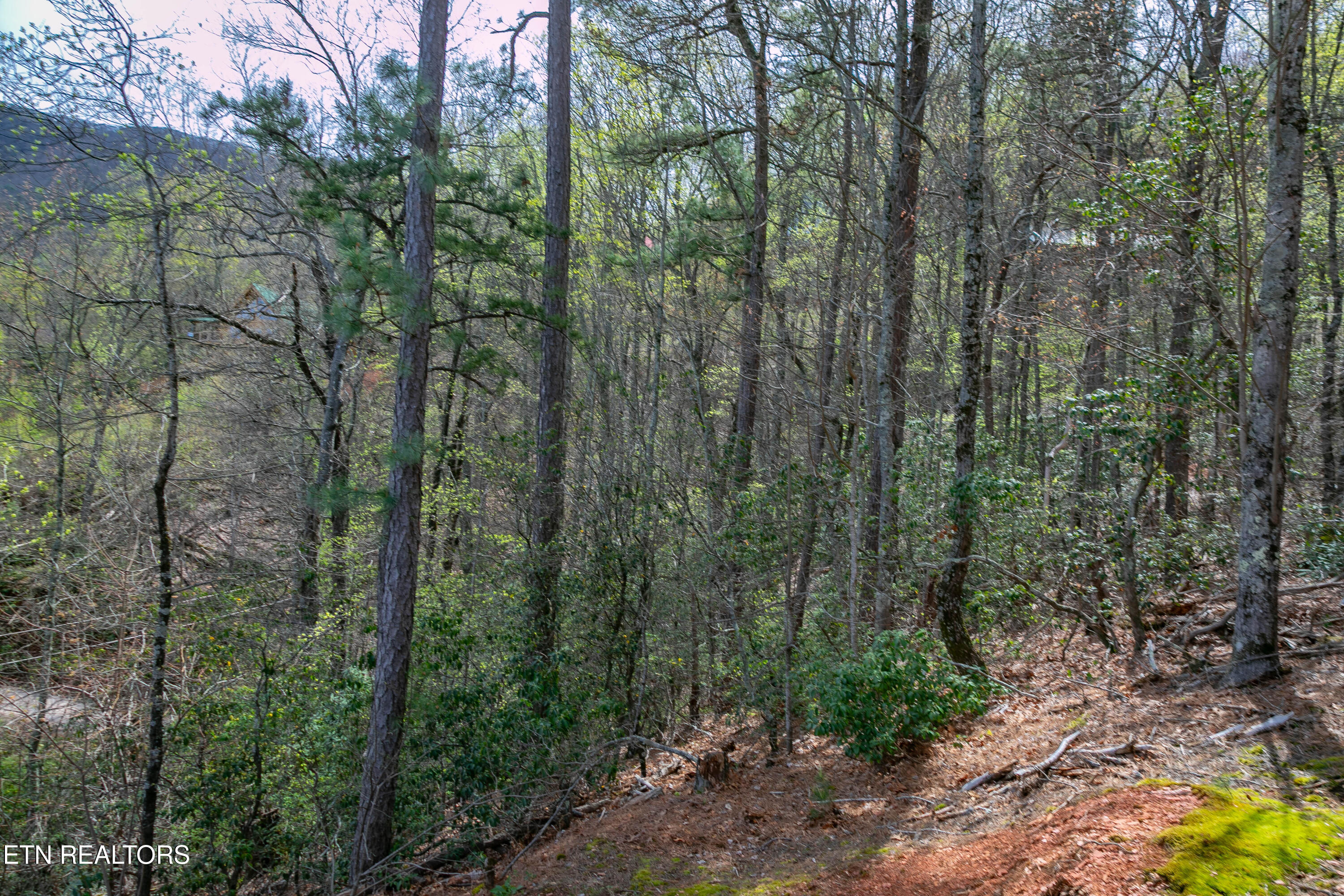 3059 Perry Circle Road Sevierville, TN 37862 - Photo 55 of 56 2B4A8979