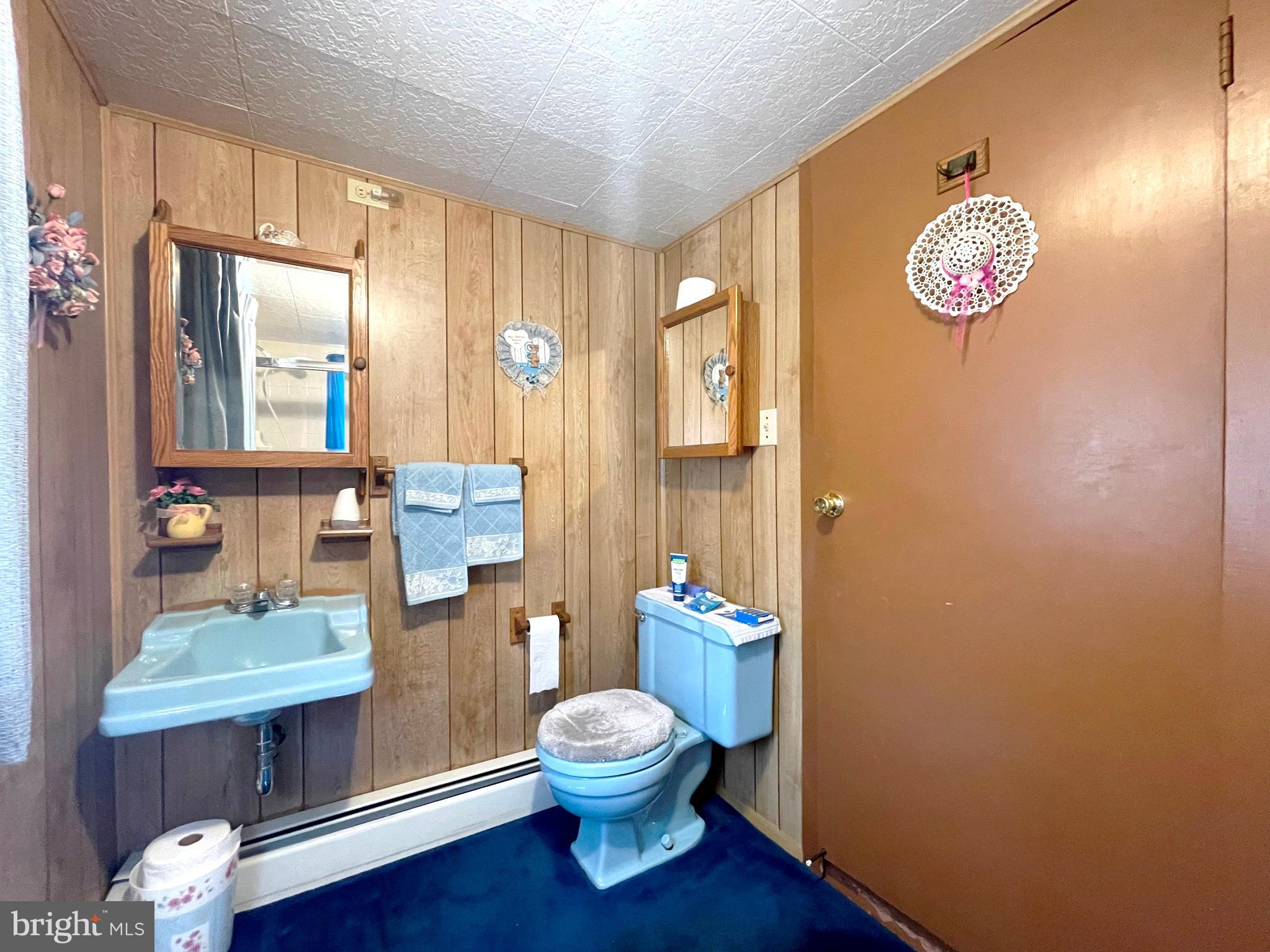 6700 Hungerford Road Bryans Road, MD 20616 - Photo 17 of 36 a bathroom with a toilet a sink and a mirror