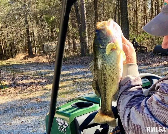 $753,000 | 26 Perkins Lane, Golconda, IL 62938