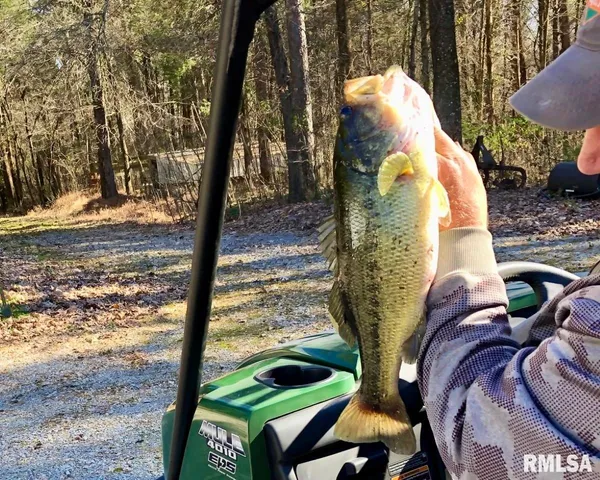 $395,000 | 26 Perkins Lane, Golconda, IL 62938