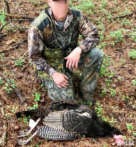 $395,000 | 26 Perkins Lane, Golconda, IL 62938