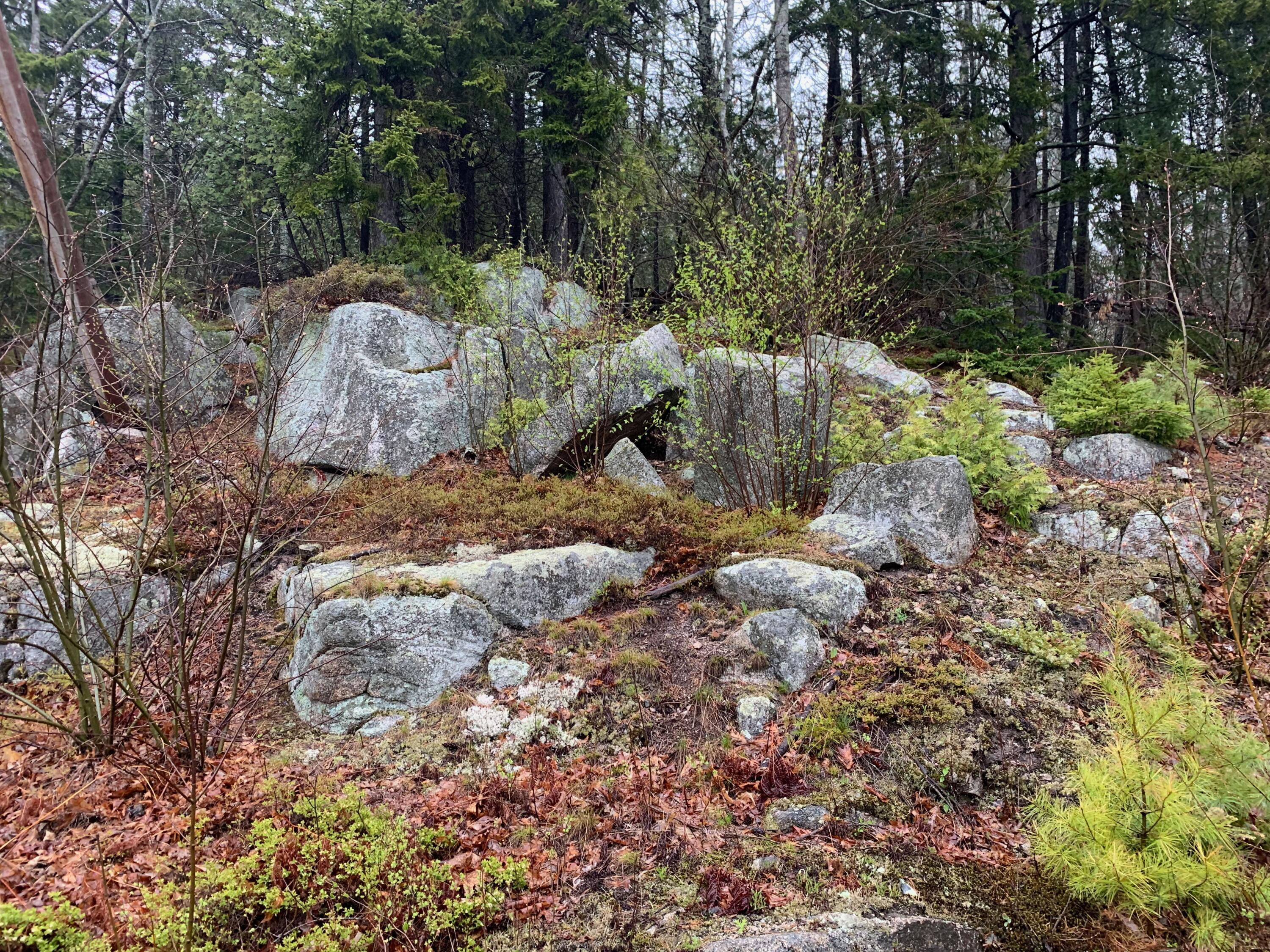 49 Byards Point Road Sedgwick, ME 04673 - Photo 7 of 38 Photos - 1 of 23