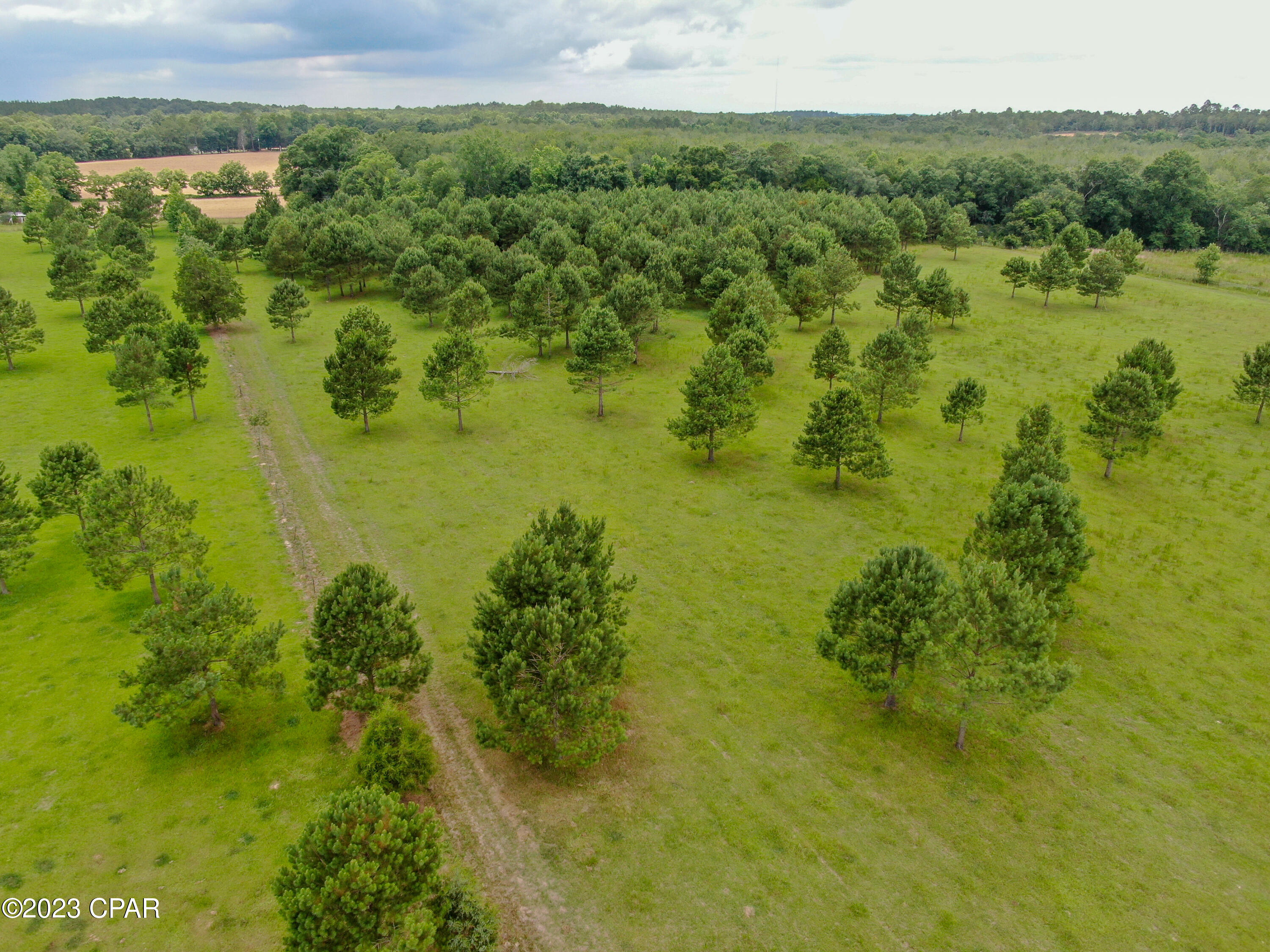 0 Creek Road Bonifay, FL 32425 - Photo 14 of 21 Gallery Image 14