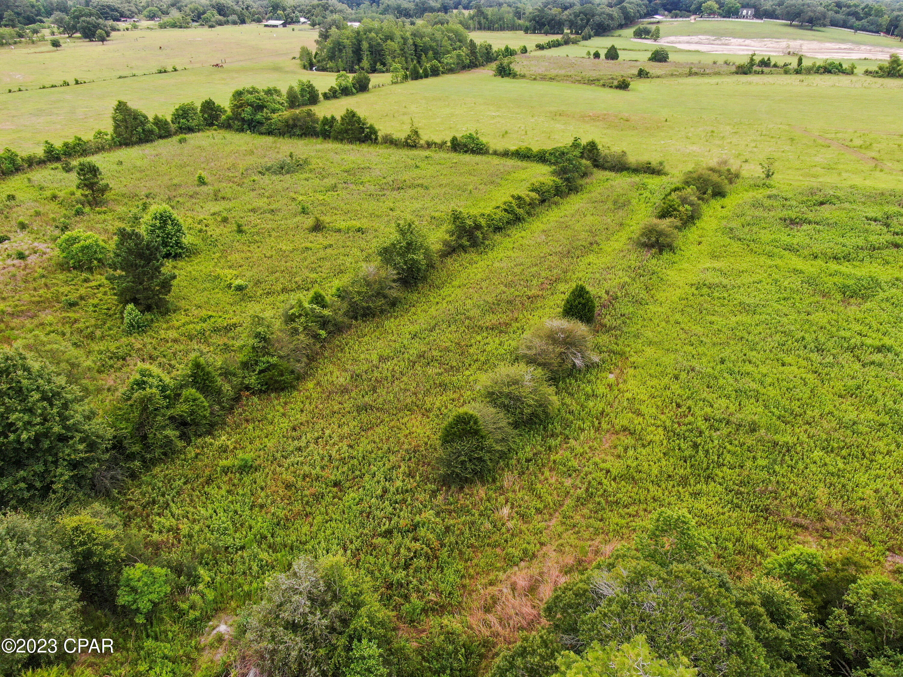 0 Creek Road Bonifay, FL 32425 - Photo 8 of 21 Gallery Image 8