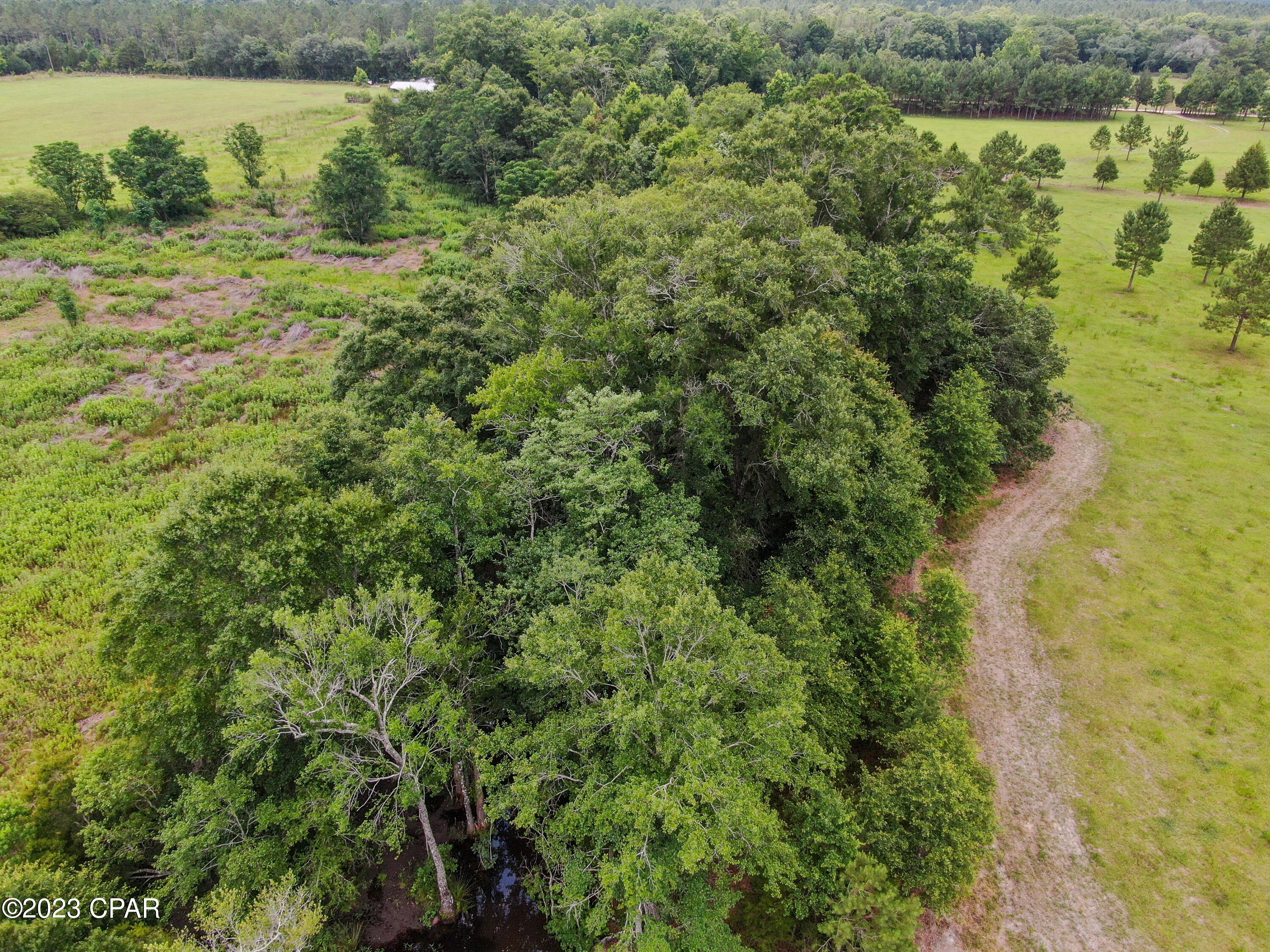 0 Creek Road Bonifay, FL 32425 - Photo 9 of 21 Gallery Image 9
