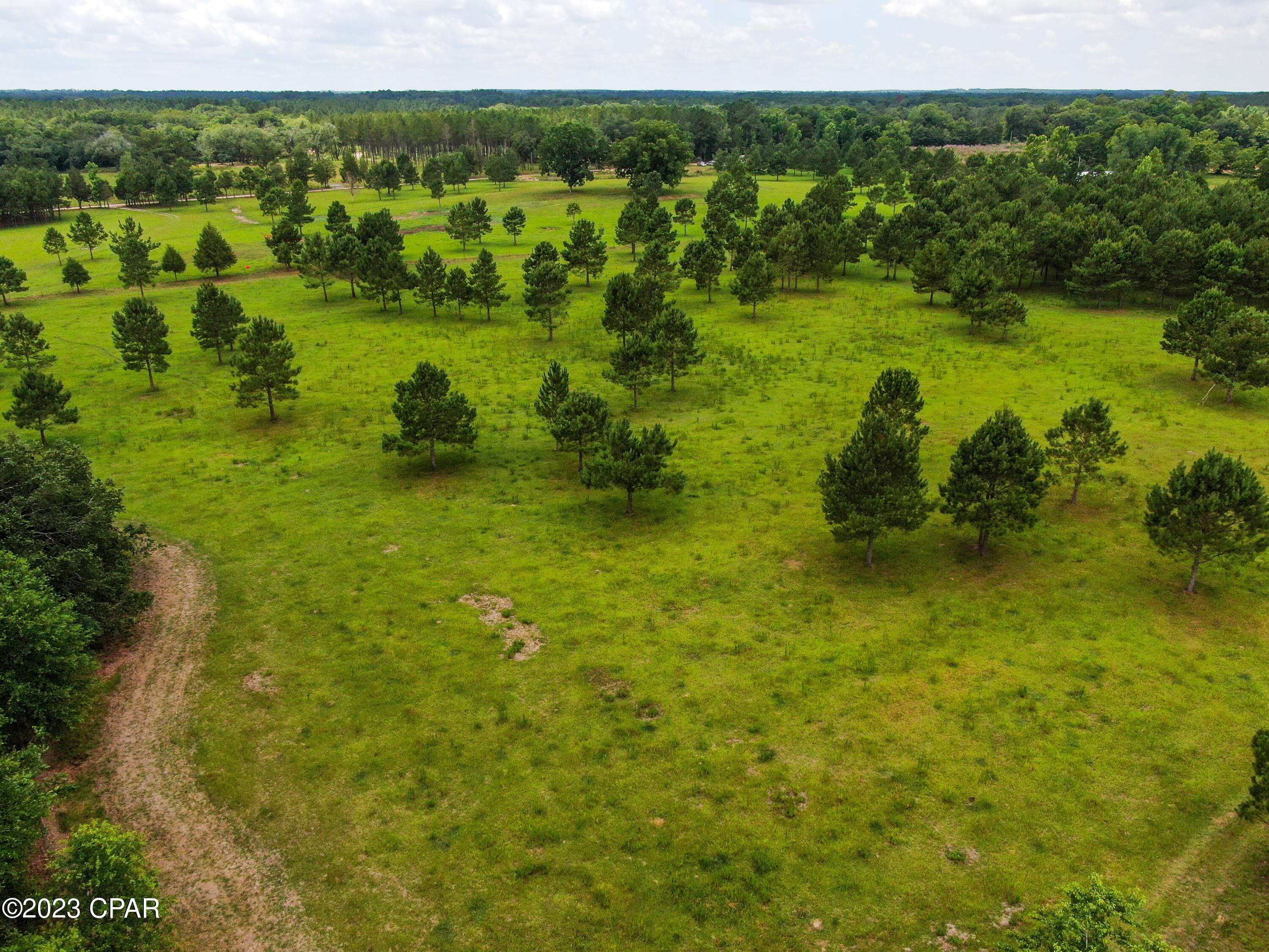 0 Creek Road Bonifay, FL 32425 - Photo 10 of 21 Gallery Image 10