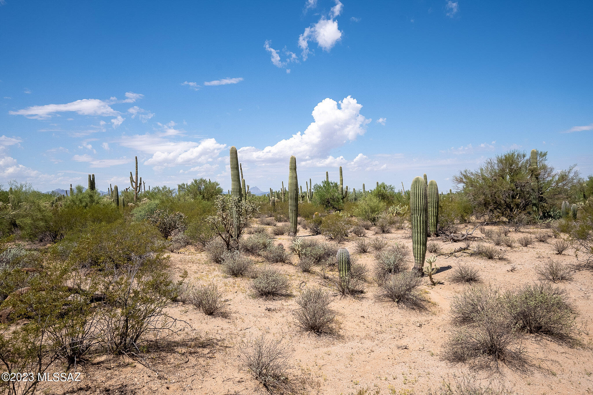 11700 West Rudasill Road, Unit LOT 2 Tucson, AZ 85743 - Photo 17 of 20 Gallery Image 17