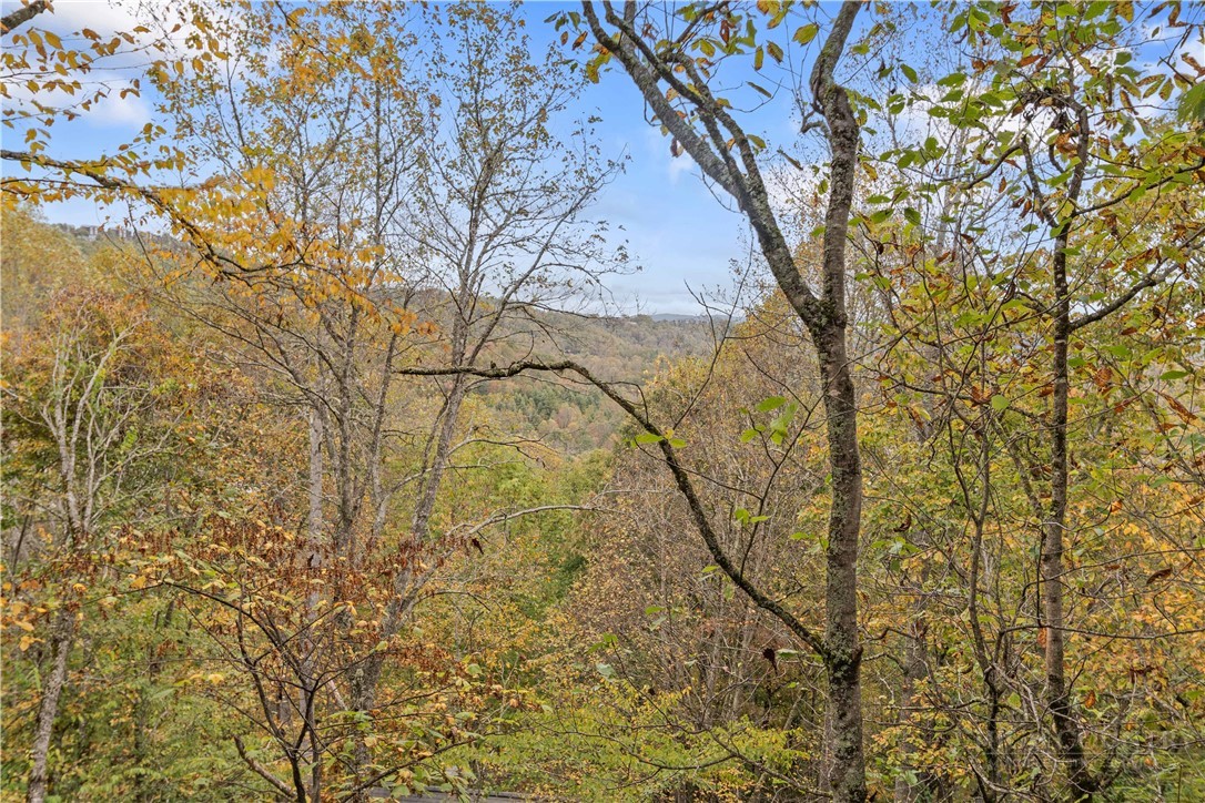 265 Leatherwood Road Banner Elk, NC 28604 - Photo 5 of 42 a view of a yard with a tree