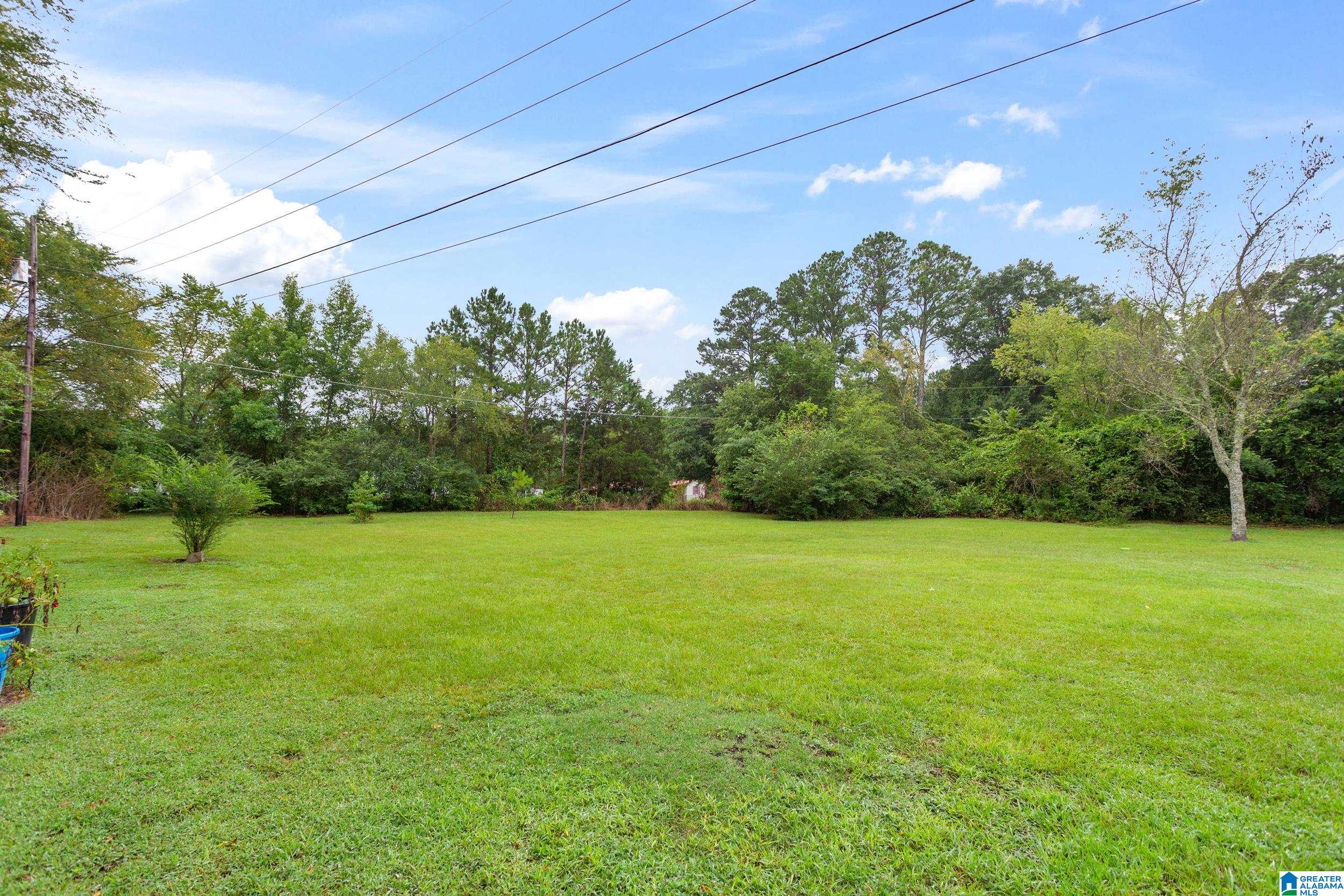 910 Whites Gap Road Jacksonville, AL 36265 - Photo 8 of 13