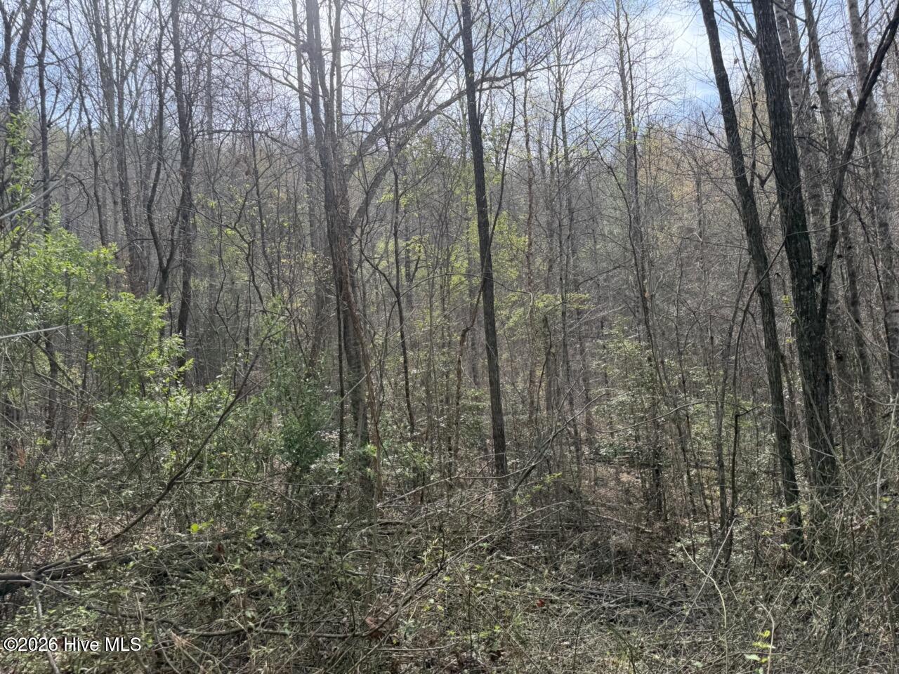 0 Ogreeta Road Murphy, NC 28906 - Photo 5 of 47