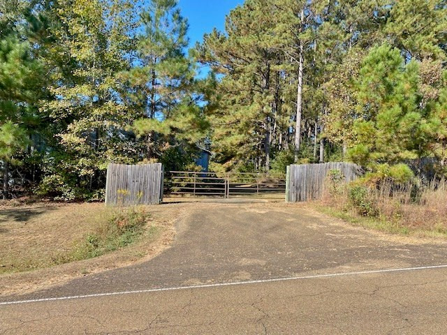 1081 Fred Bacot Road Summit, MS 39666 - Photo 17 of 20 Photo 17
