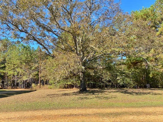 1081 Fred Bacot Road Summit, MS 39666 - Photo 19 of 20 Photo 19