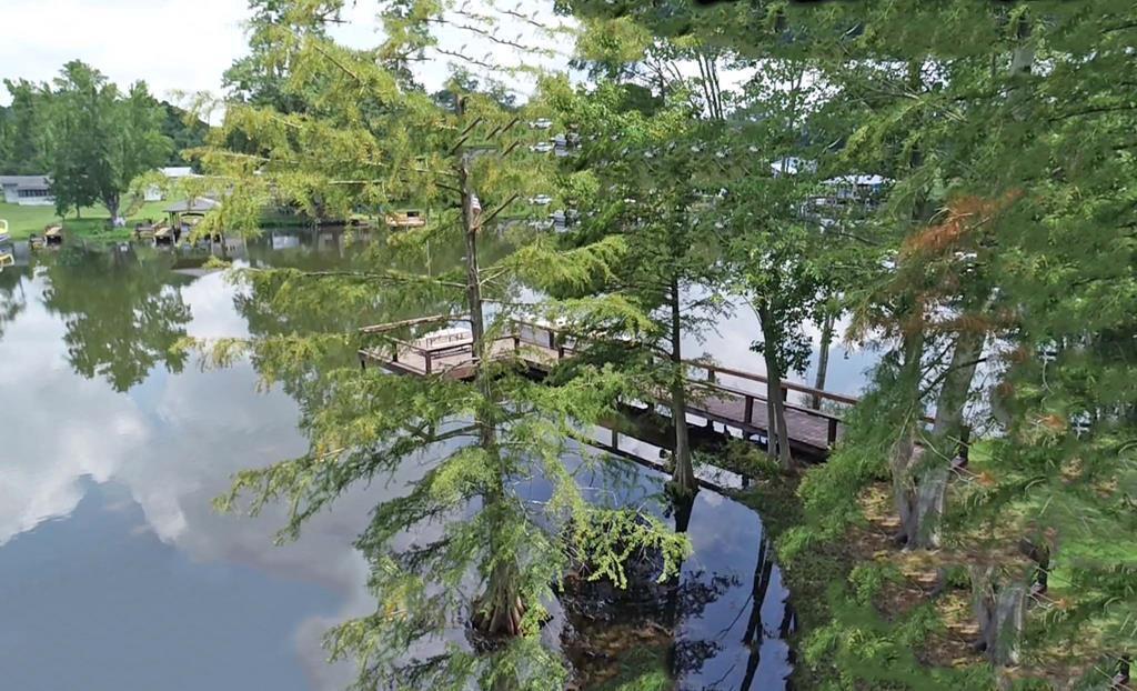 2032 James Loop Road Manning, SC 29102 - Photo 15 of 50 Gallery Image 15