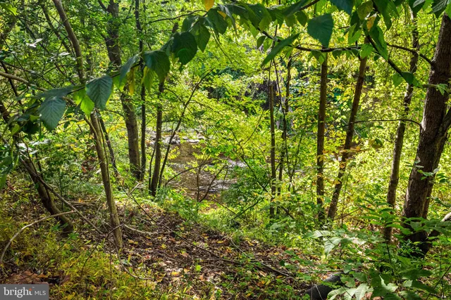 $550,000 | 102 Dundee Mills Lane, Wallingford, PA 19086