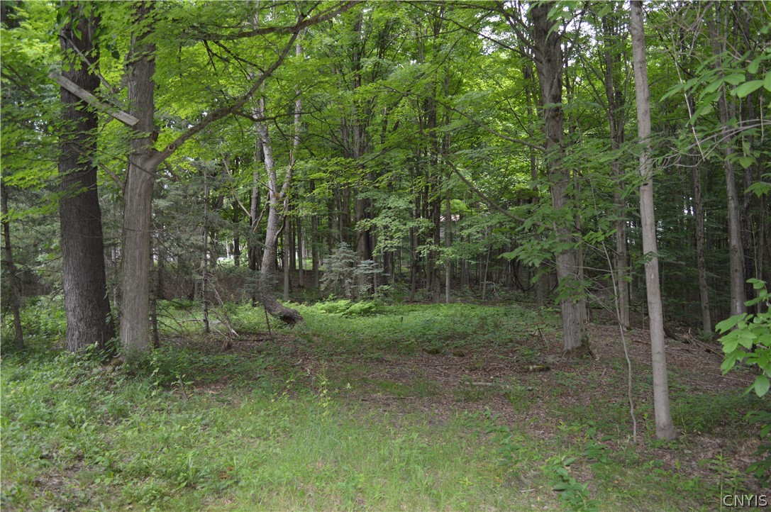 7447 Armstrong Road Manlius, NY 13104 - Photo 36 of 38