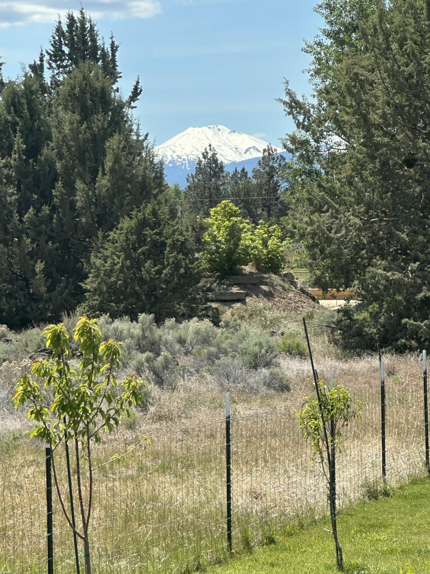 62705 Hamby Road Bend, OR 97701 - Photo 47 of 49 a view of a yard with large trees