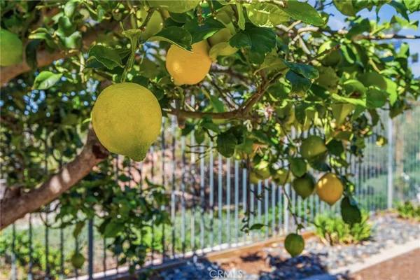 $899,900 | 721 Highland Park, Fallbrook, CA 92028