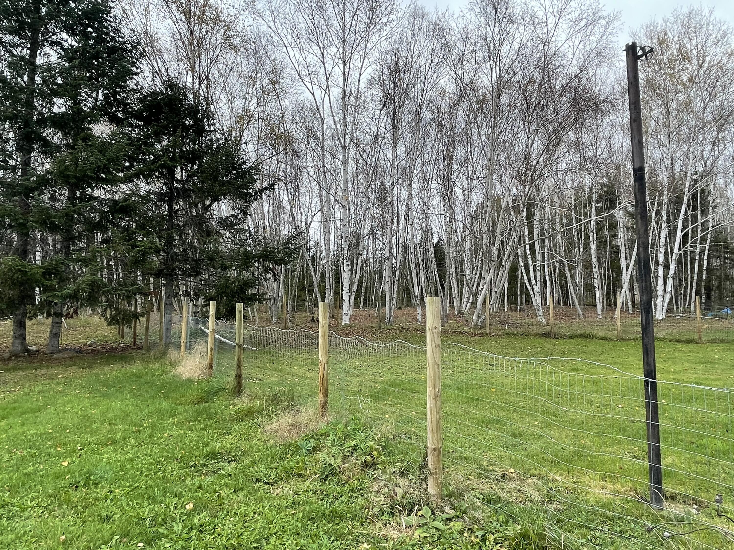 195 Grimes Road Caribou, ME 04736 - Photo 8 of 32 FA758798-3282-44C7-83DC-BECFF4E0028E