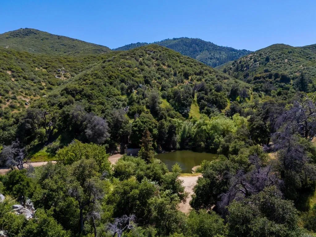 63 San Felipe Road Warner Springs, CA 92086 - Photo 12 of 43 a view of a lush green forest with mountains in the background