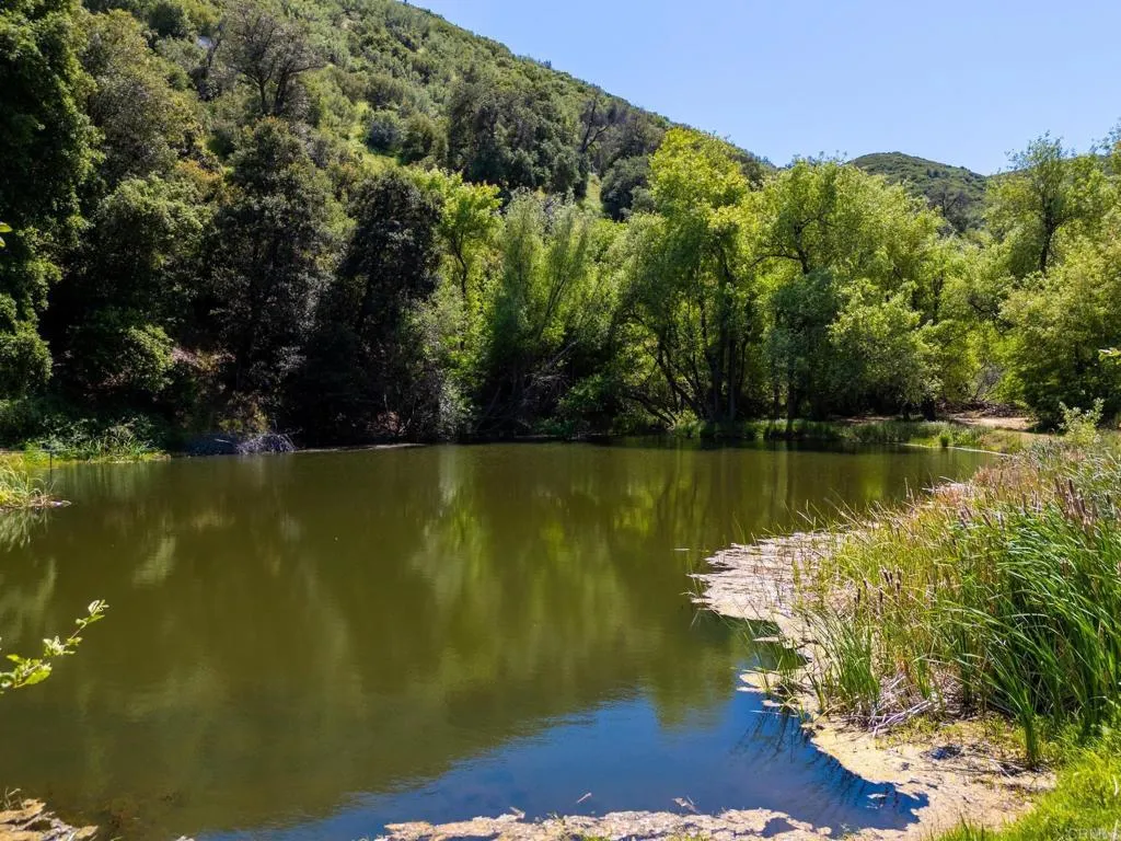 63 San Felipe Road Warner Springs, CA 92086 - Photo 13 of 43 a view of a lake with a yard