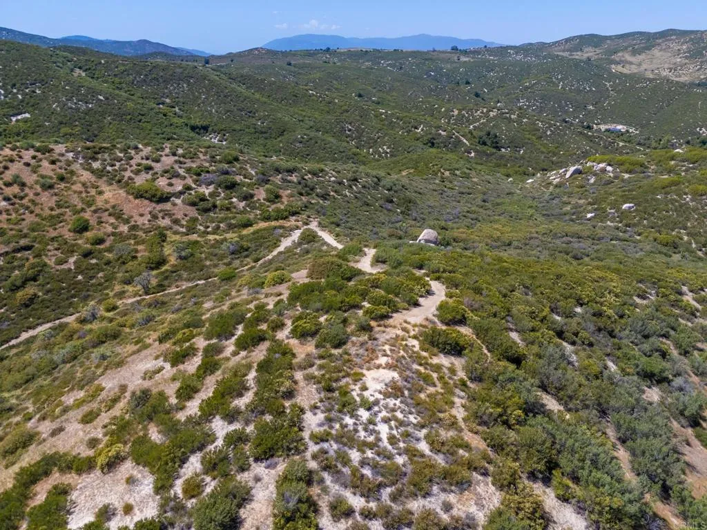 63 San Felipe Road Warner Springs, CA 92086 - Photo 31 of 43 a view of a forest with trees in the background