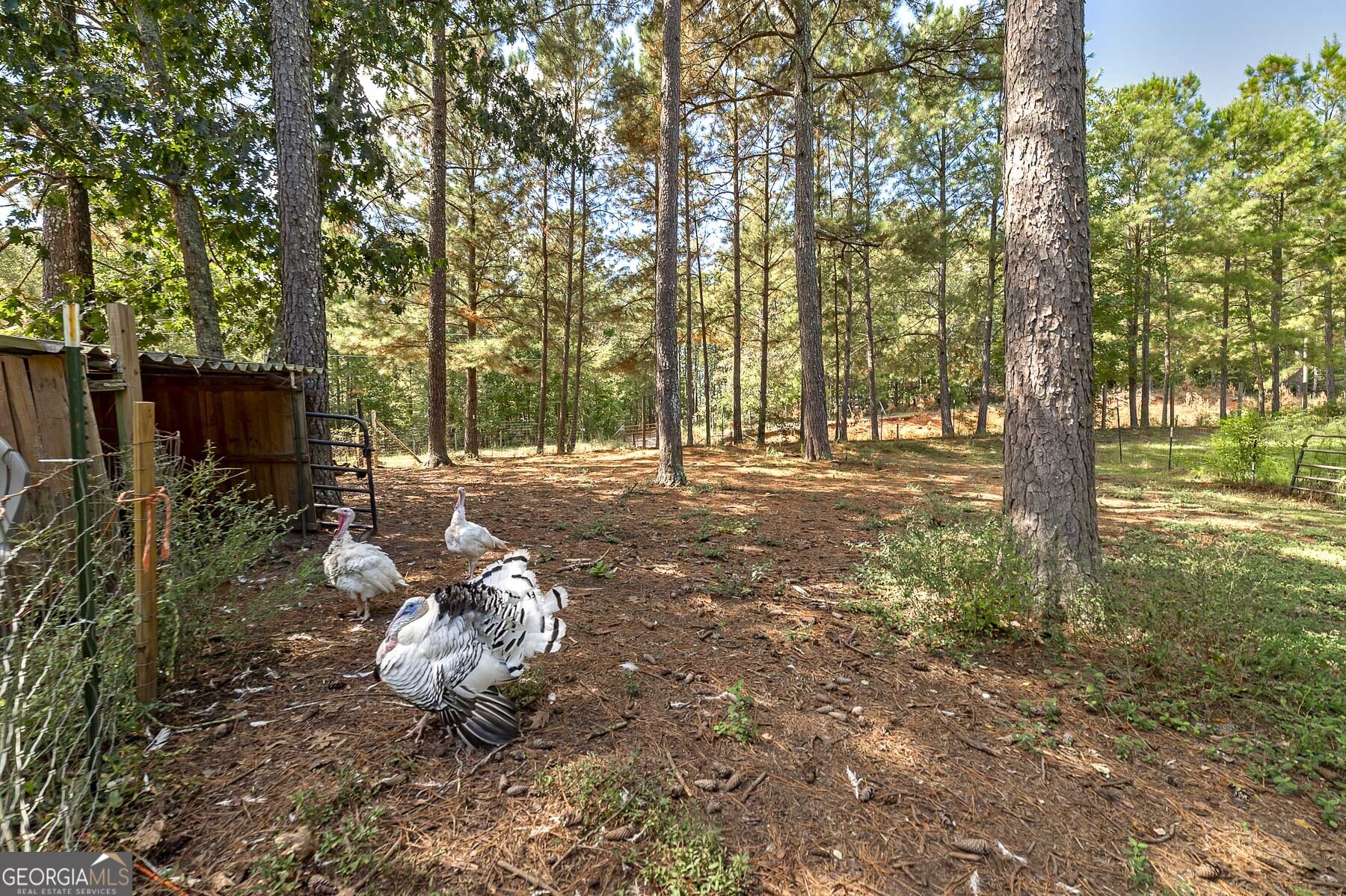 447 Grandview Road Mansfield, GA 30055 - Photo 26 of 65