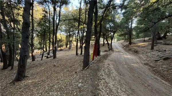 $19,000 | 722 Mojave River, Cedarpines Park, CA 92322