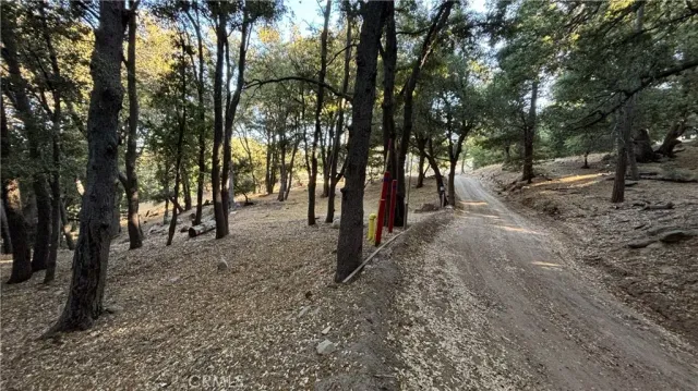 $19,000 | 722 Mojave River, Cedarpines Park, CA 92322