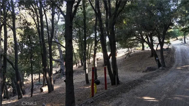 $19,000 | 722 Mojave River, Cedarpines Park, CA 92322