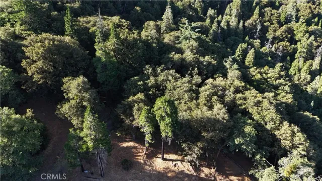 $19,000 | 722 Mojave River, Cedarpines Park, CA 92322