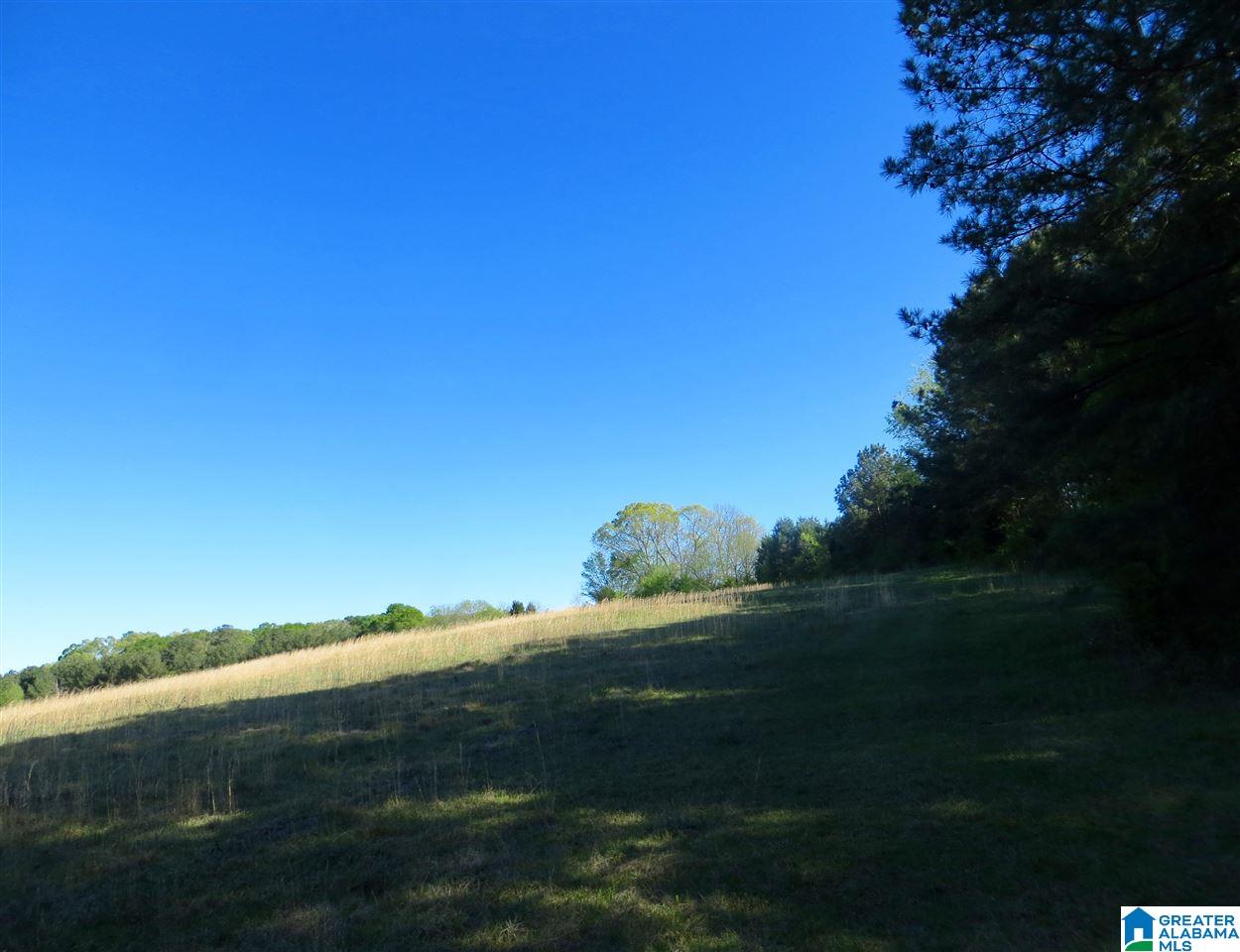 1115 Eureka Road, Unit 5 Lincoln, AL 35096 - Photo 14 of 26 Gallery Image 14