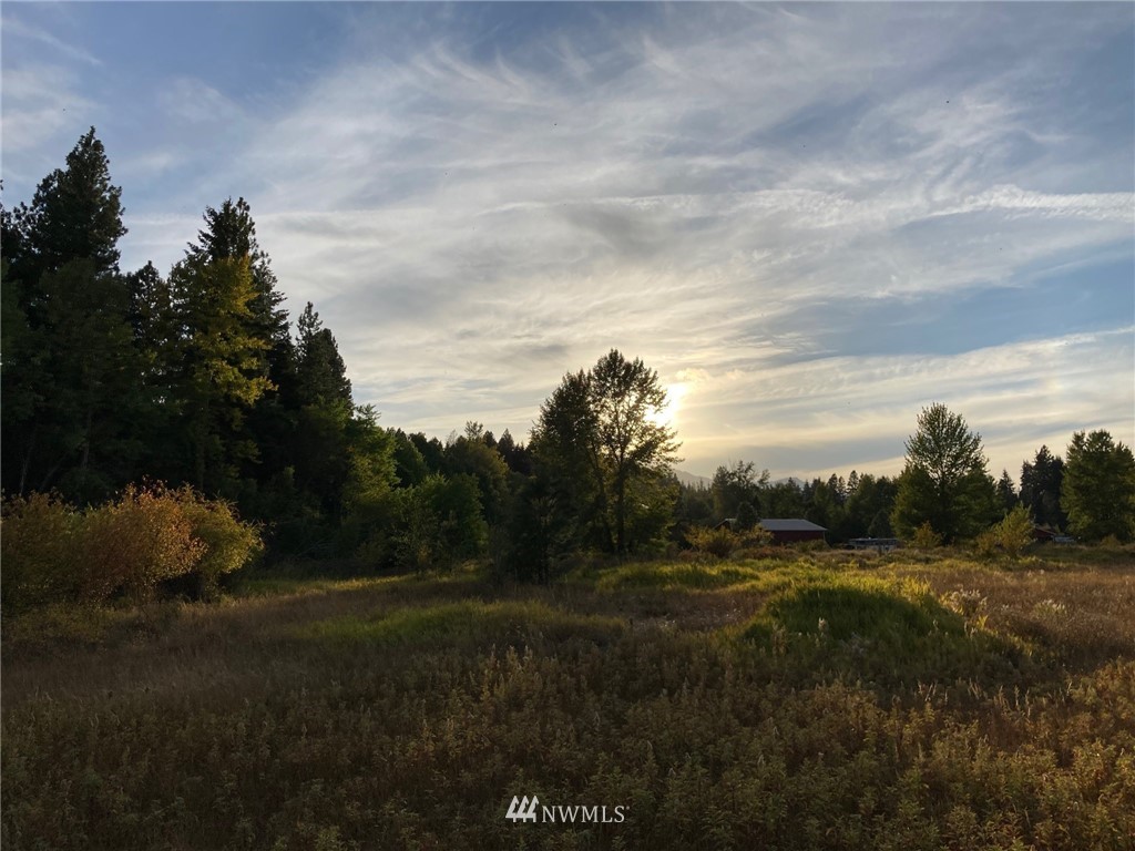 0 Westside Road Cle Elum, WA 98922 - Photo 11 of 31 a view of a yard