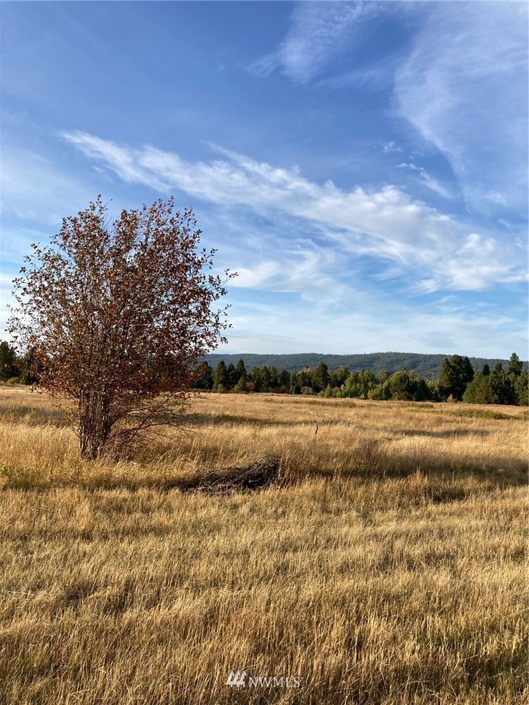0 Westside Road Cle Elum, WA 98922 - Photo 12 of 31 a view of an outdoor space and mountain view