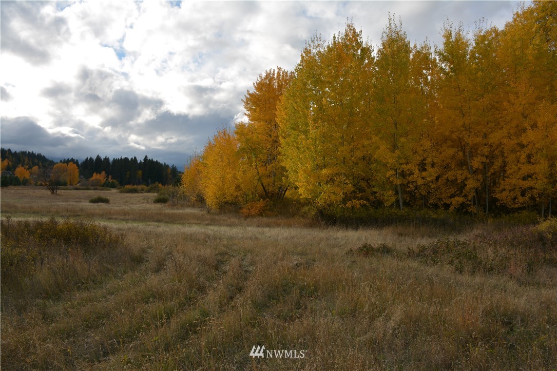 0 Westside Road Cle Elum, WA 98922 - Photo 29 of 31