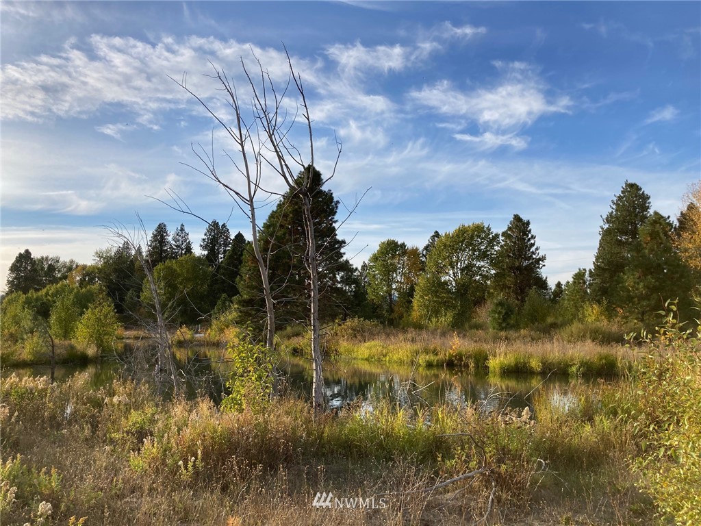 0 Westside Road Cle Elum, WA 98922 - Photo 3 of 31 a view of lake
