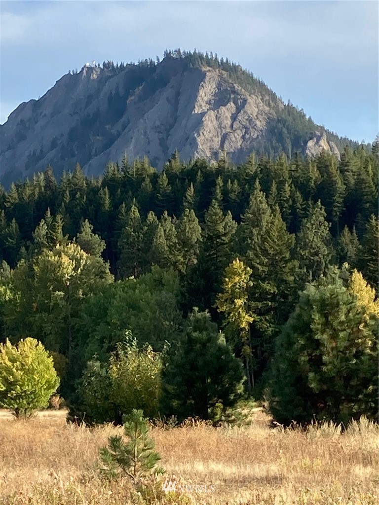 0 Westside Road Cle Elum, WA 98922 - Photo 8 of 31 a view of a yard