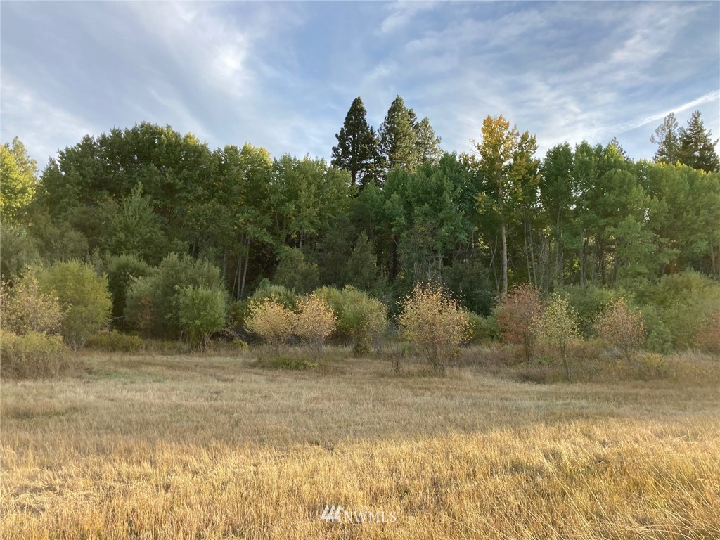 0 Westside Road Cle Elum, WA 98922 - Photo 10 of 31 a view of a yard