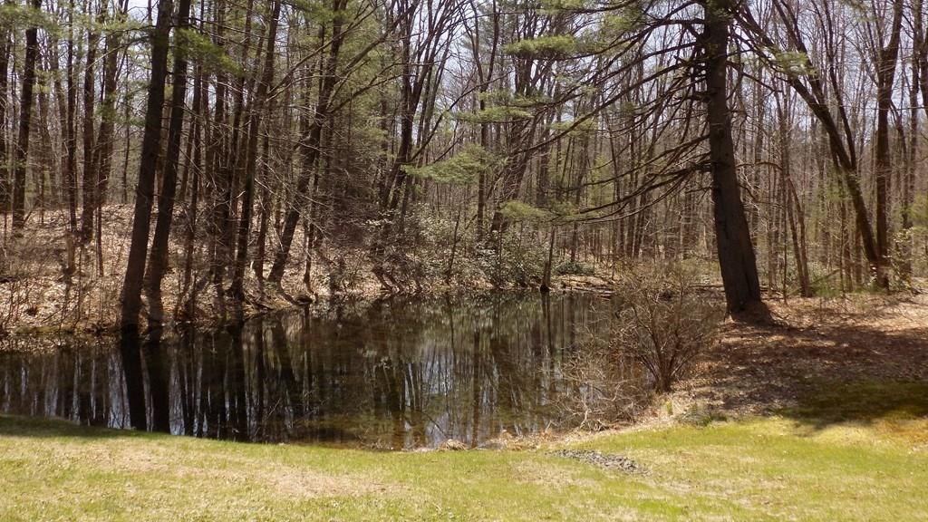 25 Stowell Road Shutesbury, MA 01072 - Photo 6 of 39 Gallery Image 6