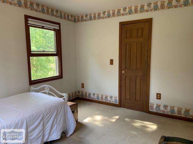 355 West Gates Street Romeo, MI 48065 - Photo 40 of 60 50042347-39.JPG